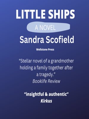 cover image of Little Ships